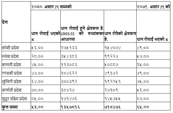 Dhan Ropai1689342284.JPG